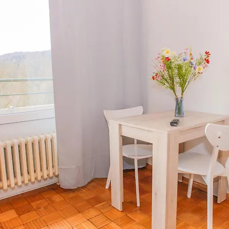 2-zimmer-wohnung 77 Apartment