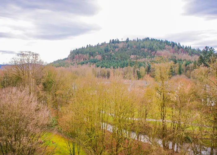 Gma B12 Daire Lahr (Baden-Wurttemberg)